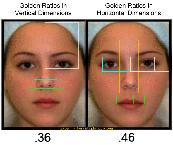 golden ratio in faces
